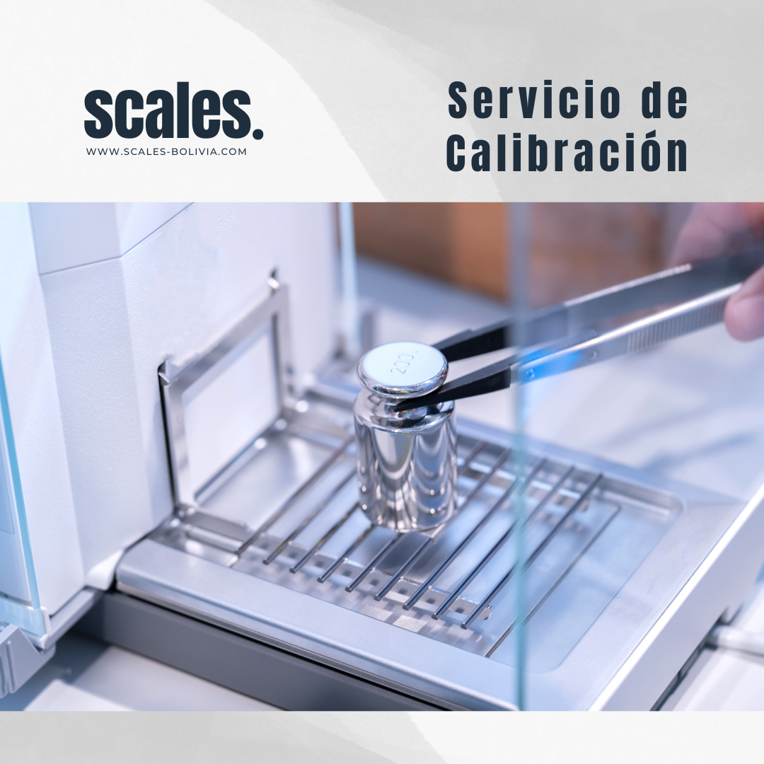 z|| Servicio de Calibración de Balanzas